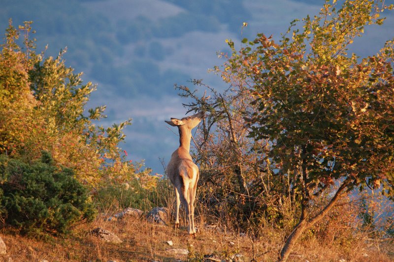 Equinozio d''autunno